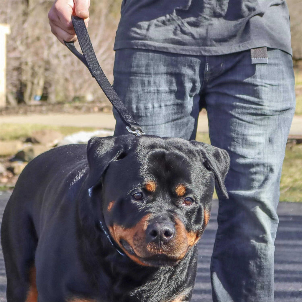 Double-Ply Nylon Traffic Leash P170