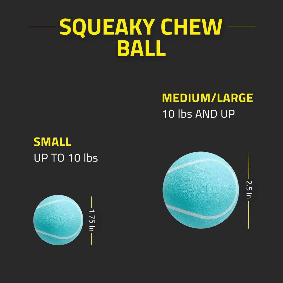 Squeaky Chew Ball Dog Toy T8535