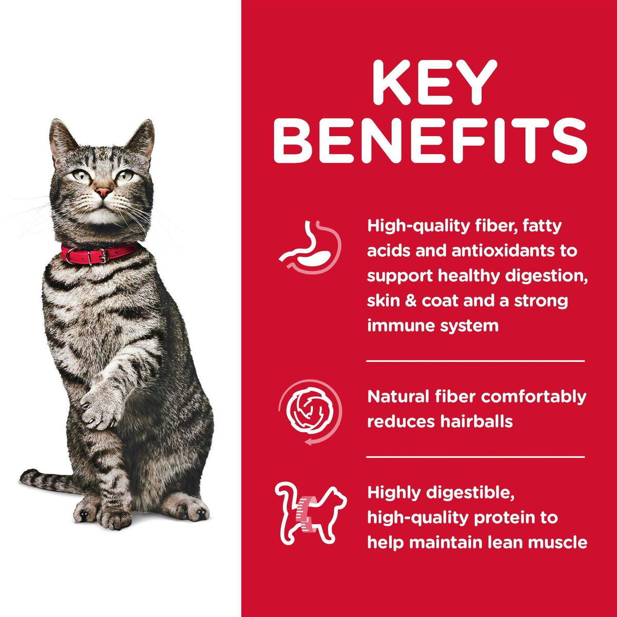 Adult Dry Cat Food N228142