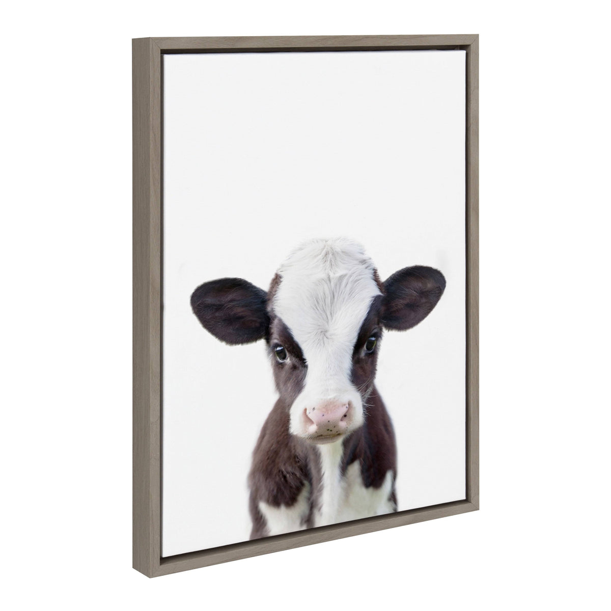 Framed Canvas Y74866