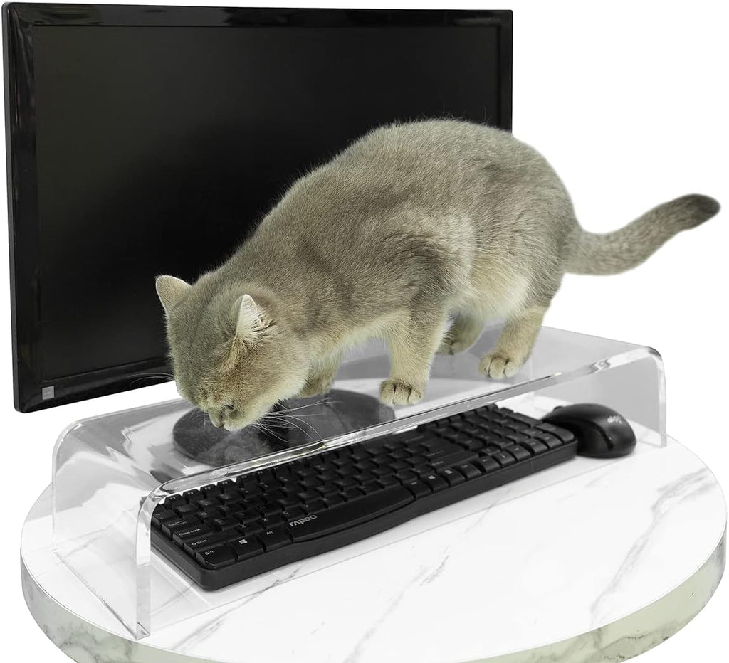 Clear Plexiglass Keyboard Protector O6626