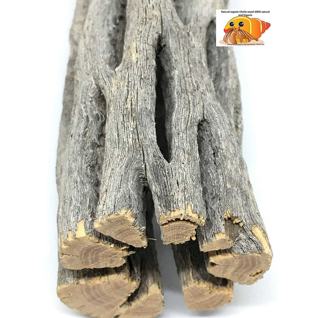 Natural Cholla Wood 3 Pieces Aquarium Decoration H74770