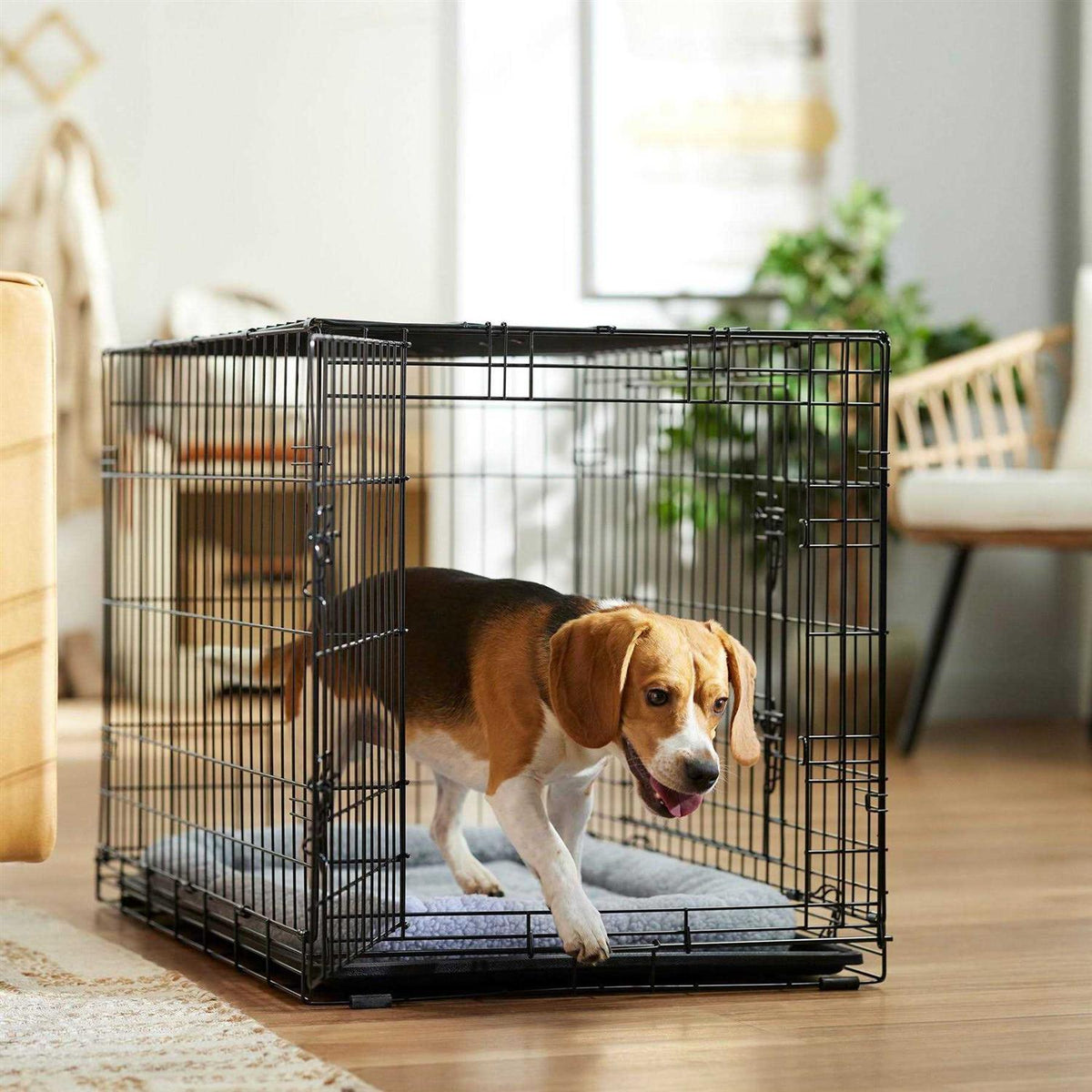 Heavy Duty Fold & Carry Double Door Collapsible Wire Dog Crate T609