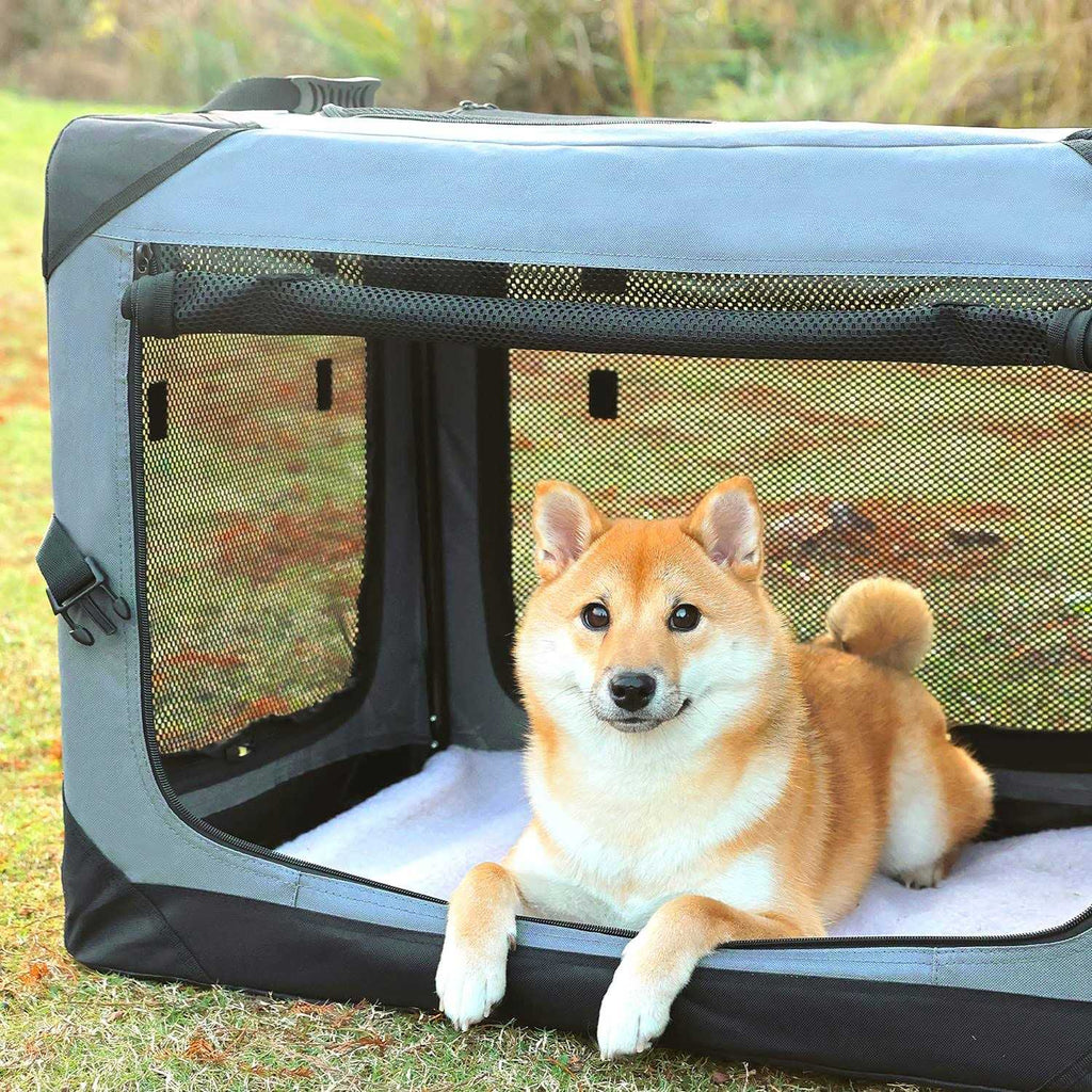 Collapsible 4-Door Soft Dog Crate B463652
