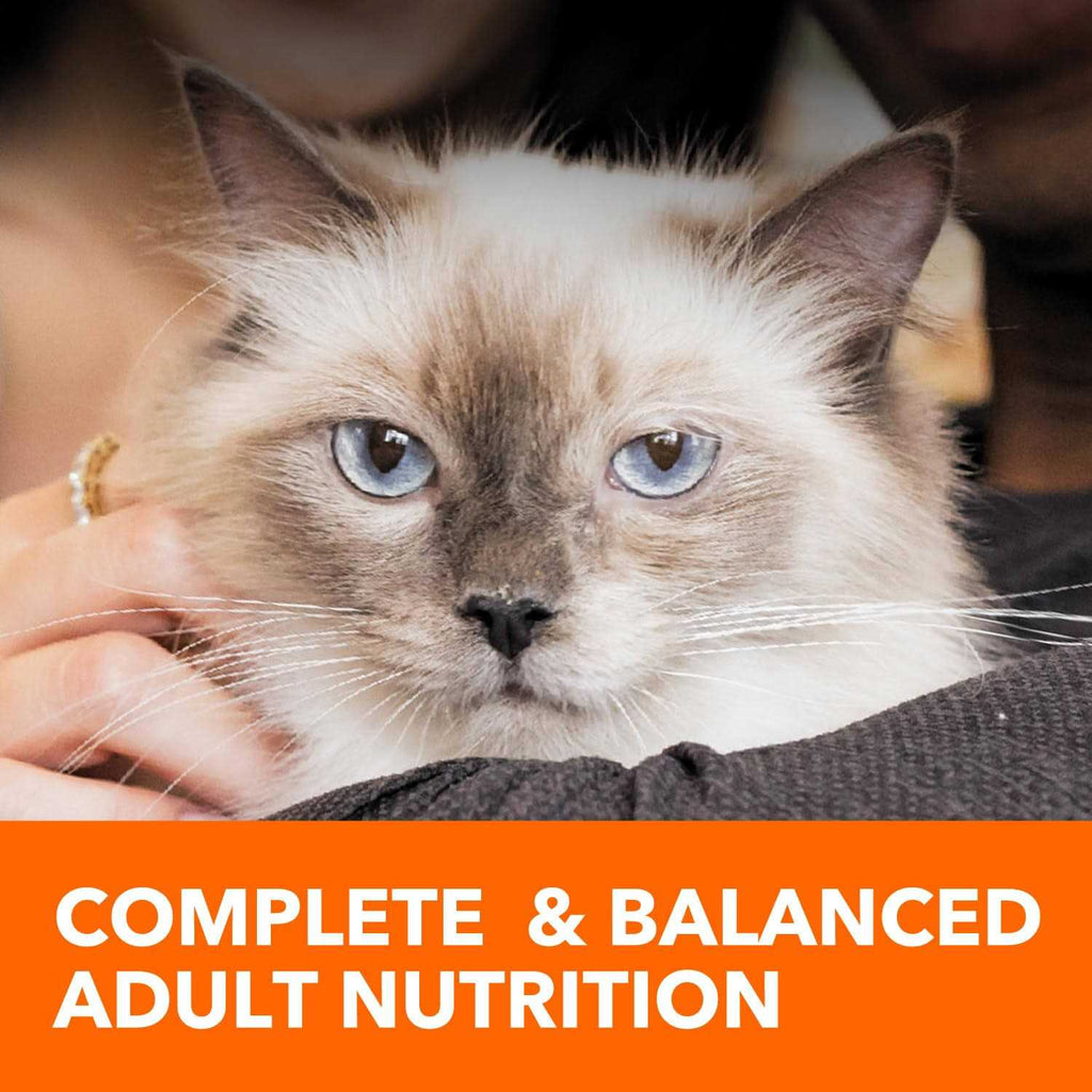 Adult Cat Food I9799