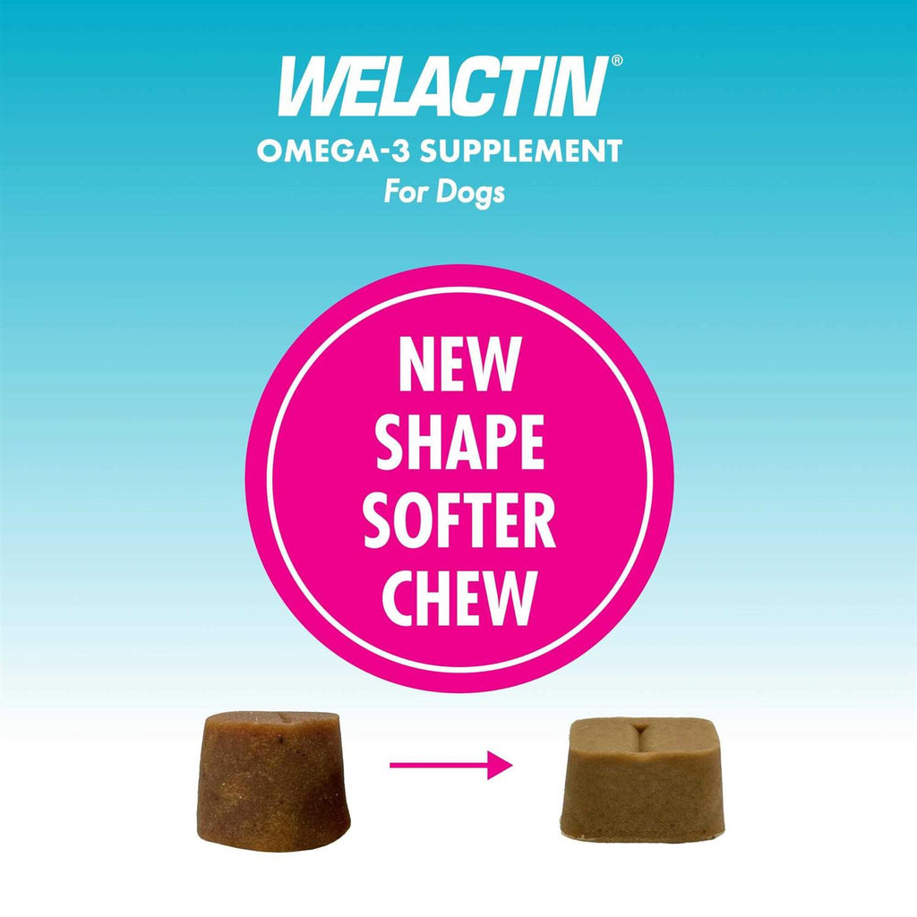 Omega-3 Supplement Soft Chews For Dogs L4818