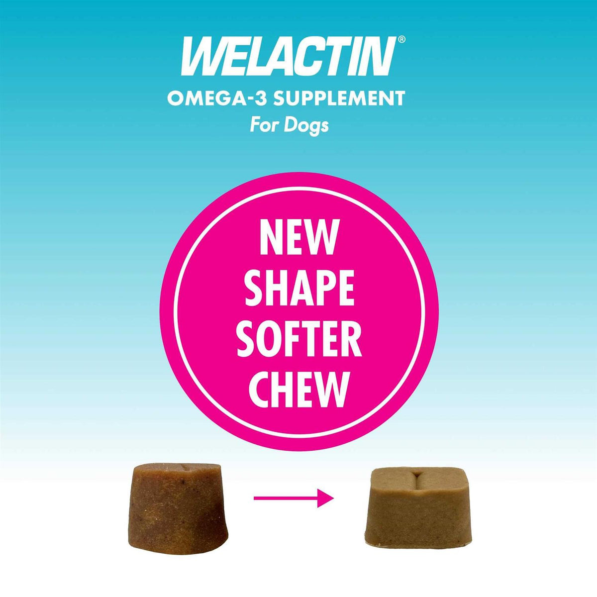 Omega-3 Supplement Soft Chews For Dogs L4818