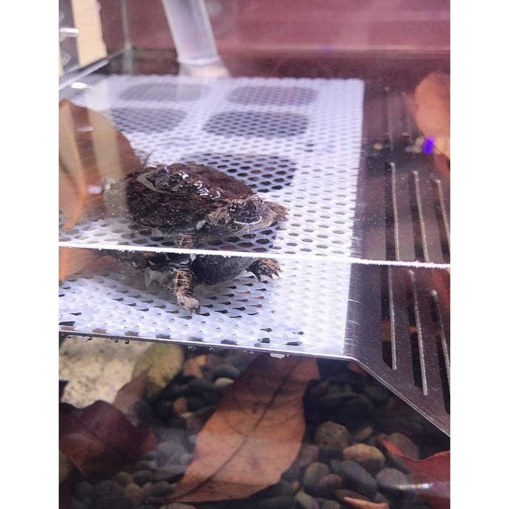 Stainless Steel Turtle Basking Platform M421880