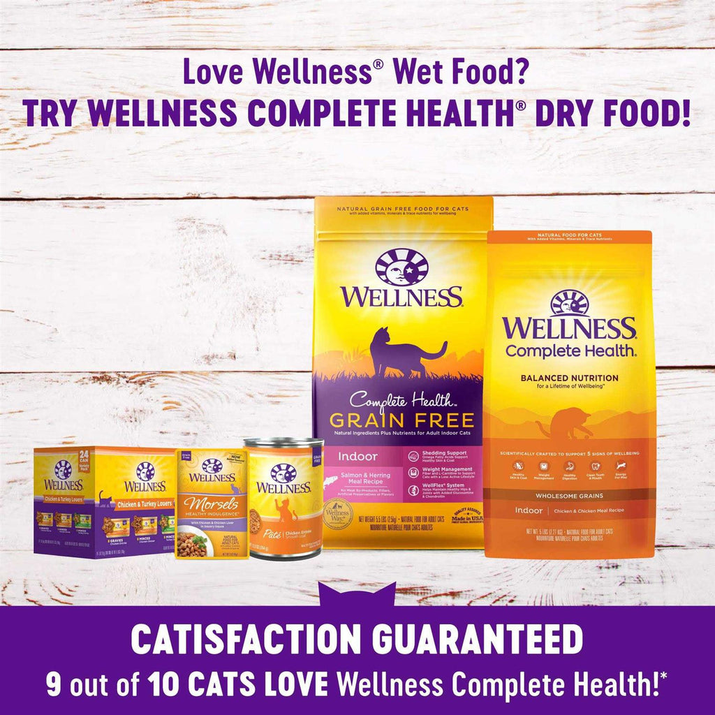 Seafood Pate Cat Food Variety Pack Y86534