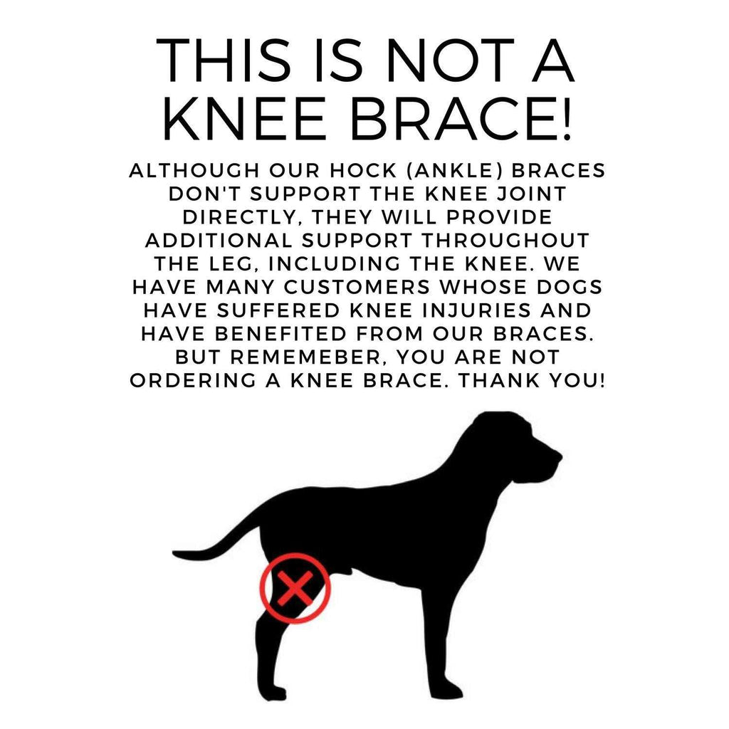Dog Rear Leg Hock Joint Compression Wrap Z2974