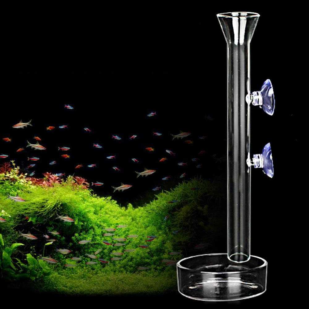 Aquarium Shrimp Feeding Tube and Dish Clear Crystal Glass Feeder Tray F278