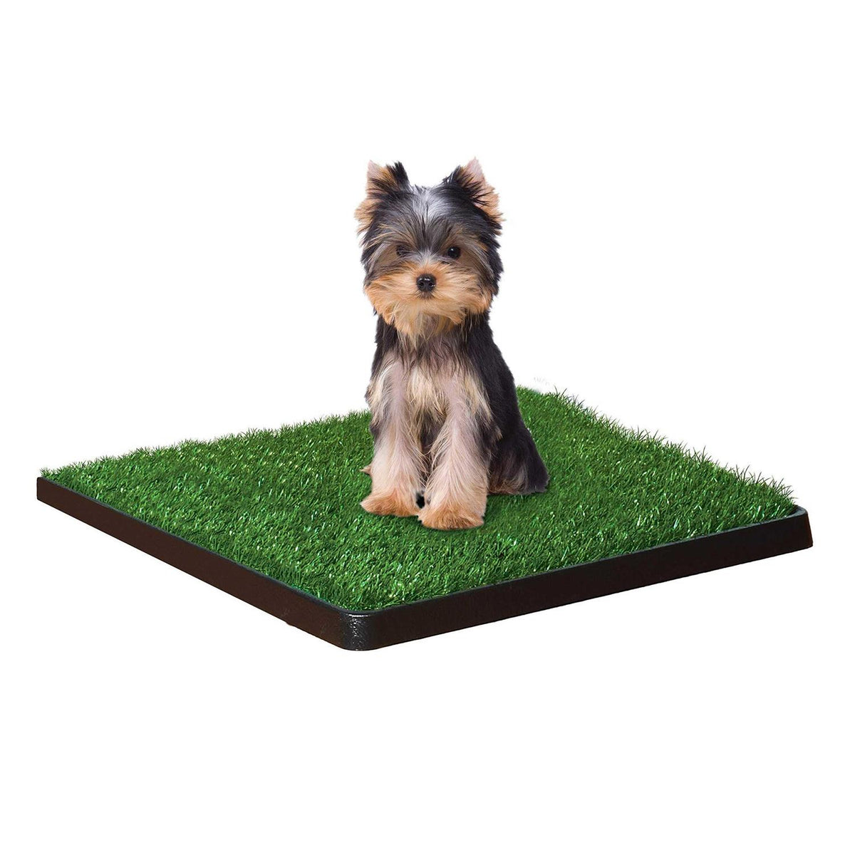 Indoor Potty H674
