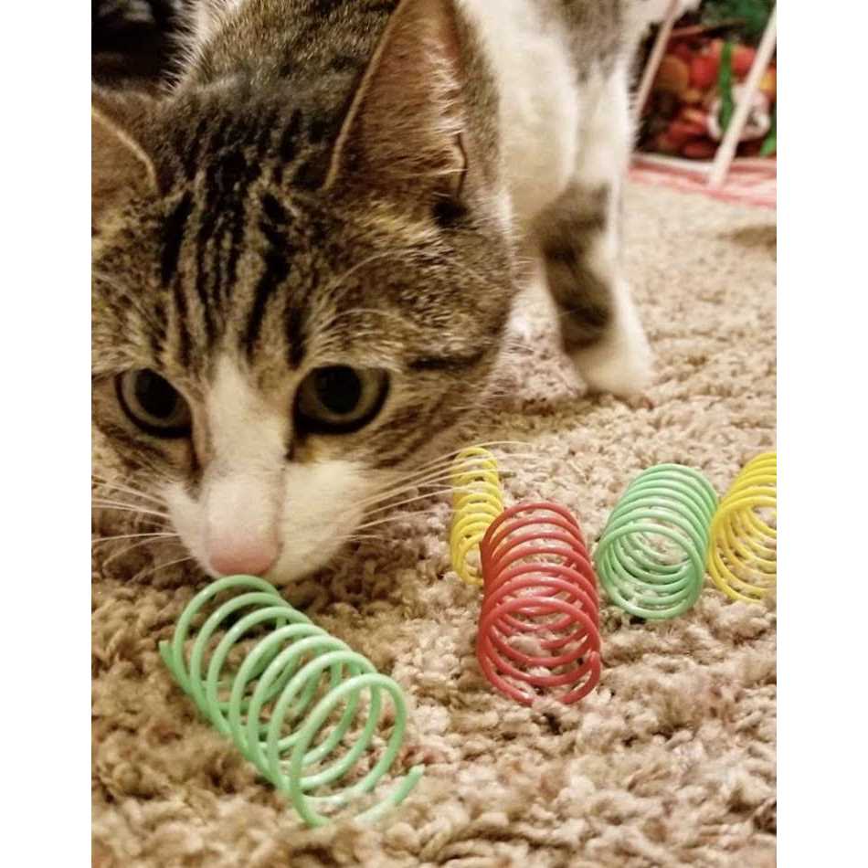 Colorful Springs Cat Toy V424404