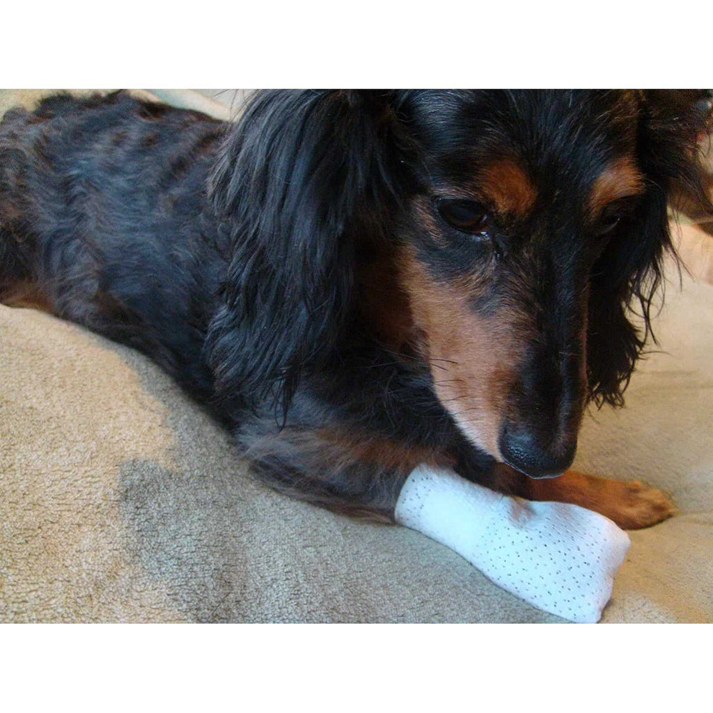 Dog Cat Medical Booties T200