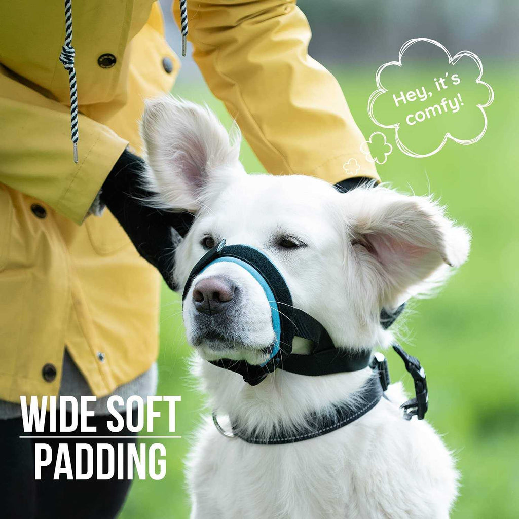 Gentle Muzzle Guard for Dogs B2812