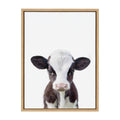 Framed Canvas Y74866