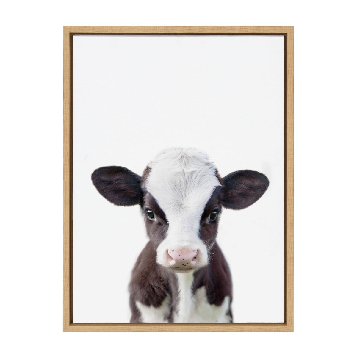 Framed Canvas Y74866