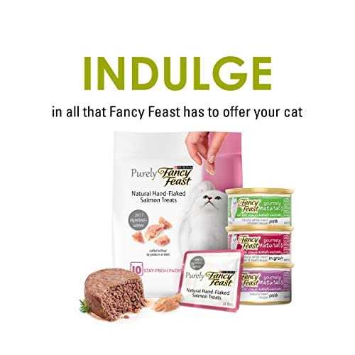 Chicken Flavor Cat Treats 9 oz E858