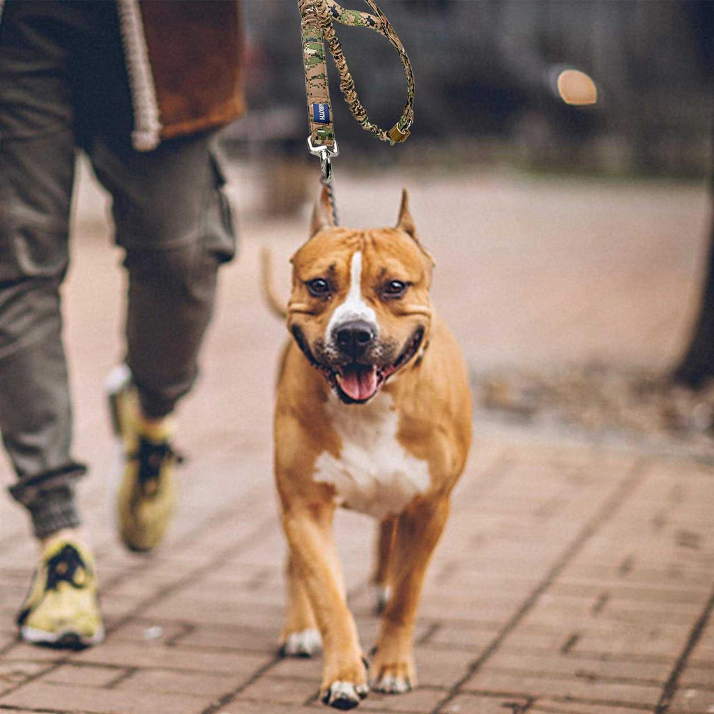 Heavy Duty Bungee Dog Leash L79519