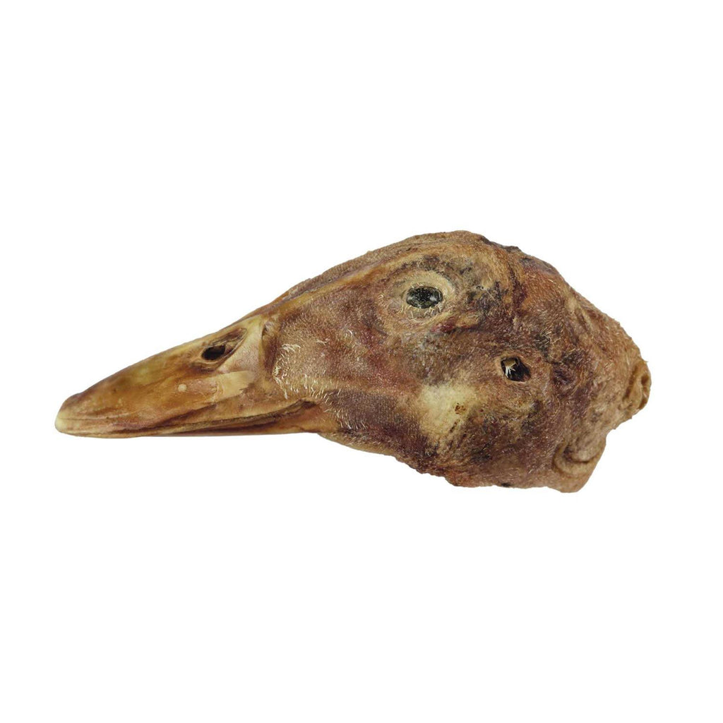 Freeze-Dried Raw Bar Duck Head F73915