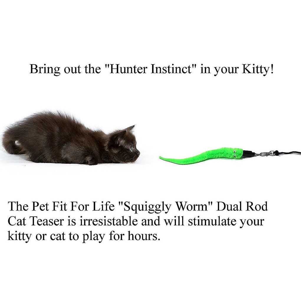 Cat Wand Toy 5-Piece Worm Teaser U896