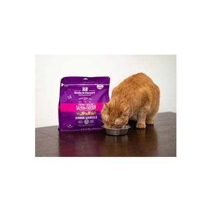Freeze Dried Cat Food Z624