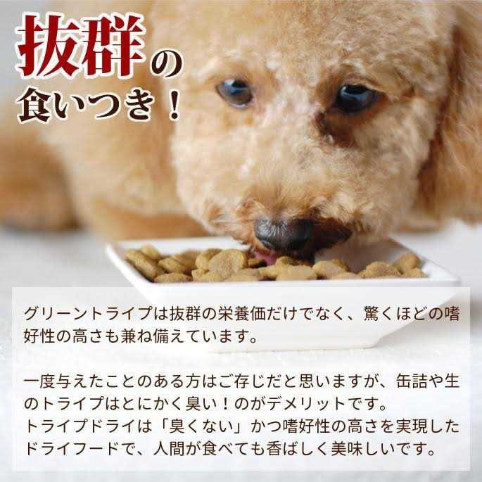 Beef Tripe Formula Dry Dog Food Y167322
