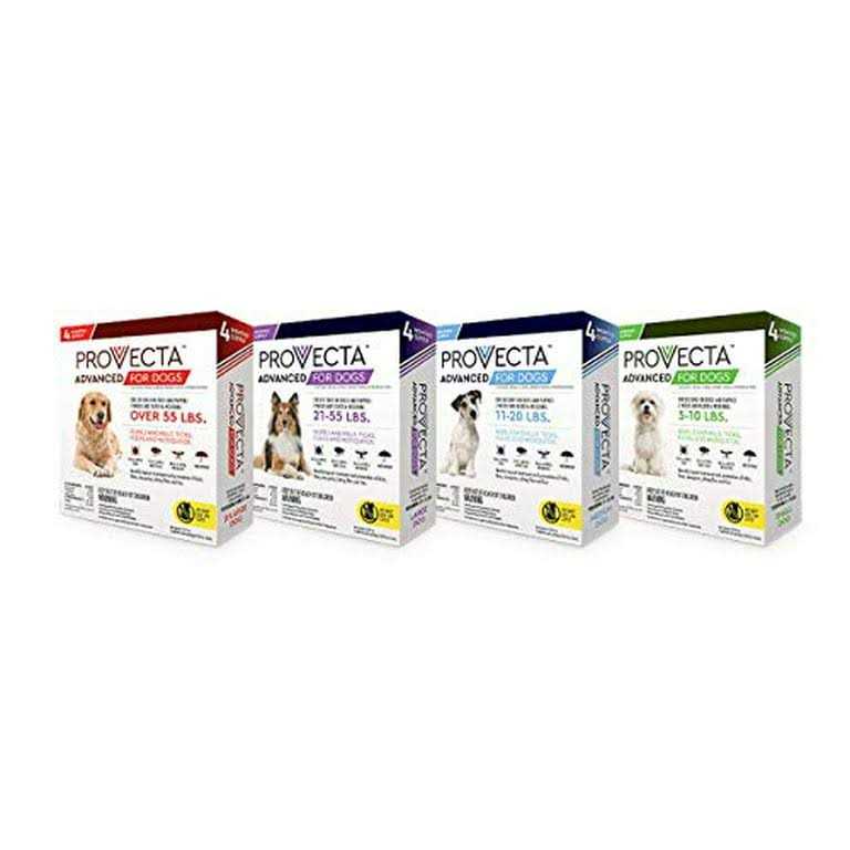 Advanced for Dogs K836
