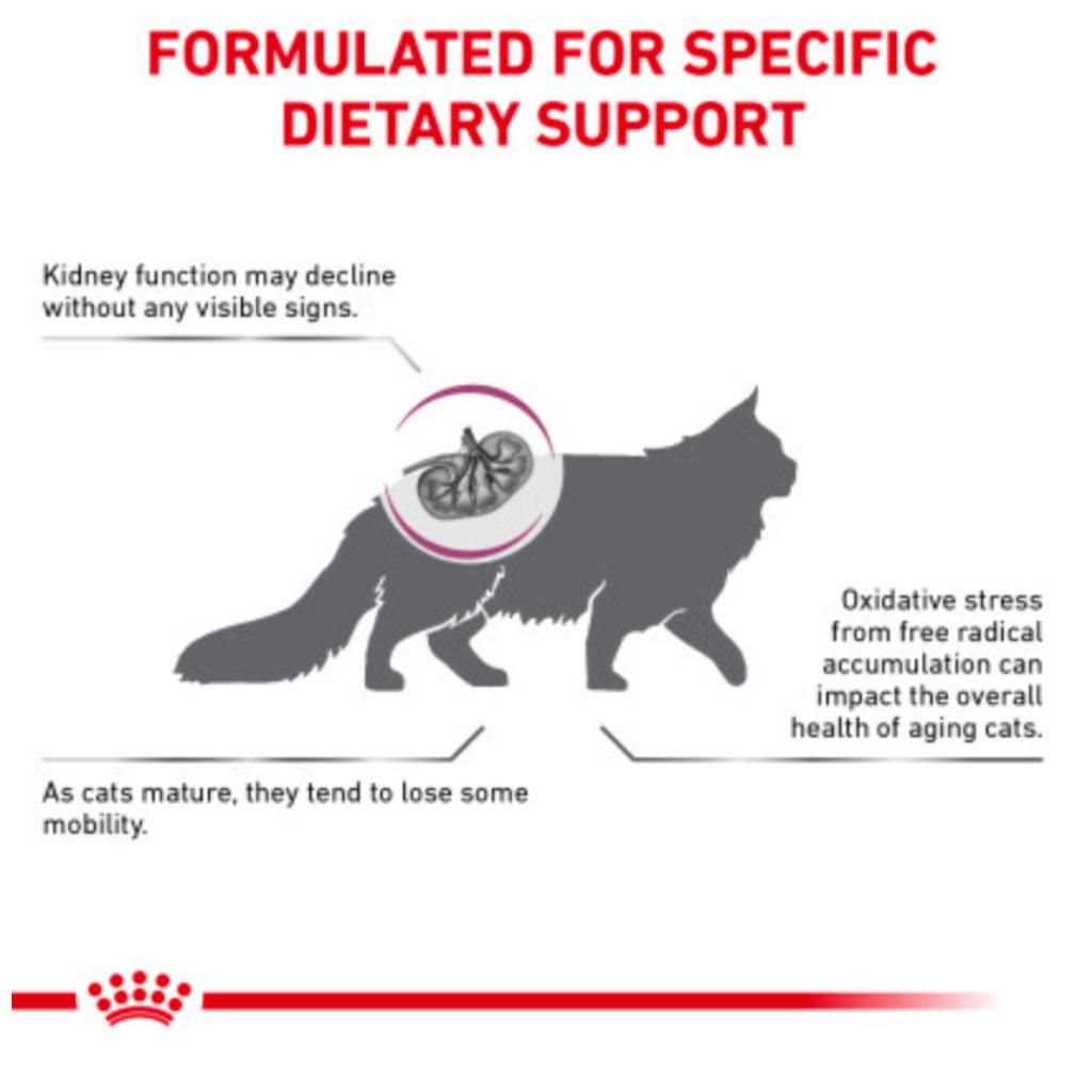 Dry Cat Food C771683
