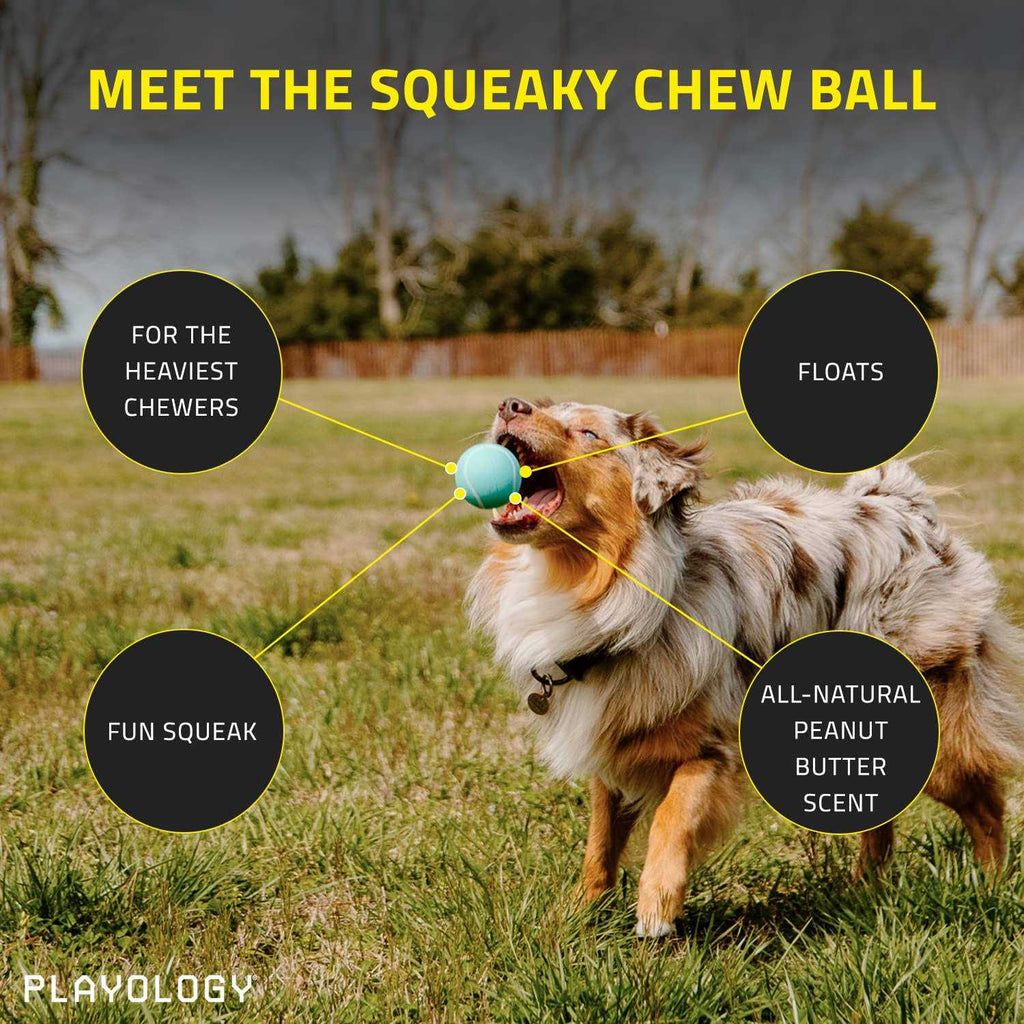 Squeaky Chew Ball Dog Toy T8535