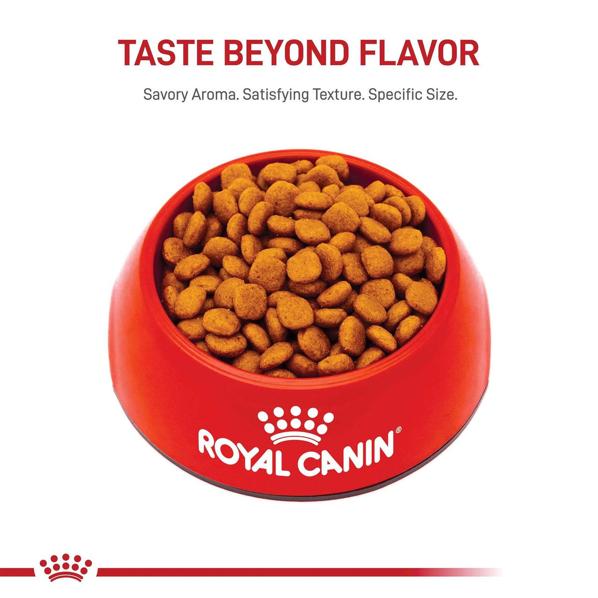 Adult Dry Dog Food E52917