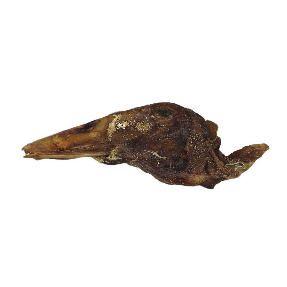 Freeze-Dried Raw Bar Duck Head F73915
