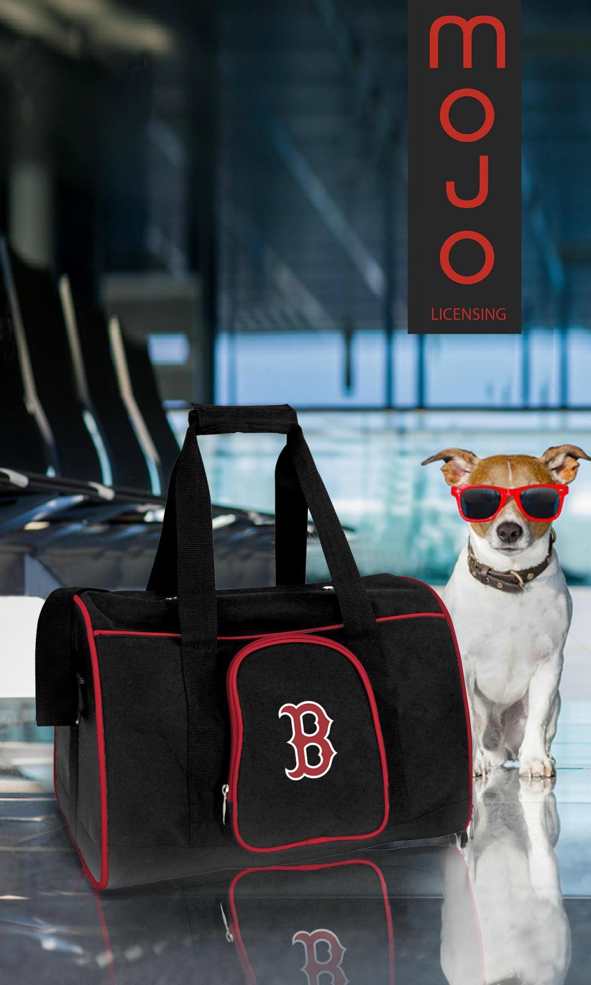 NHL 16x22 Pet Carrier R14310
