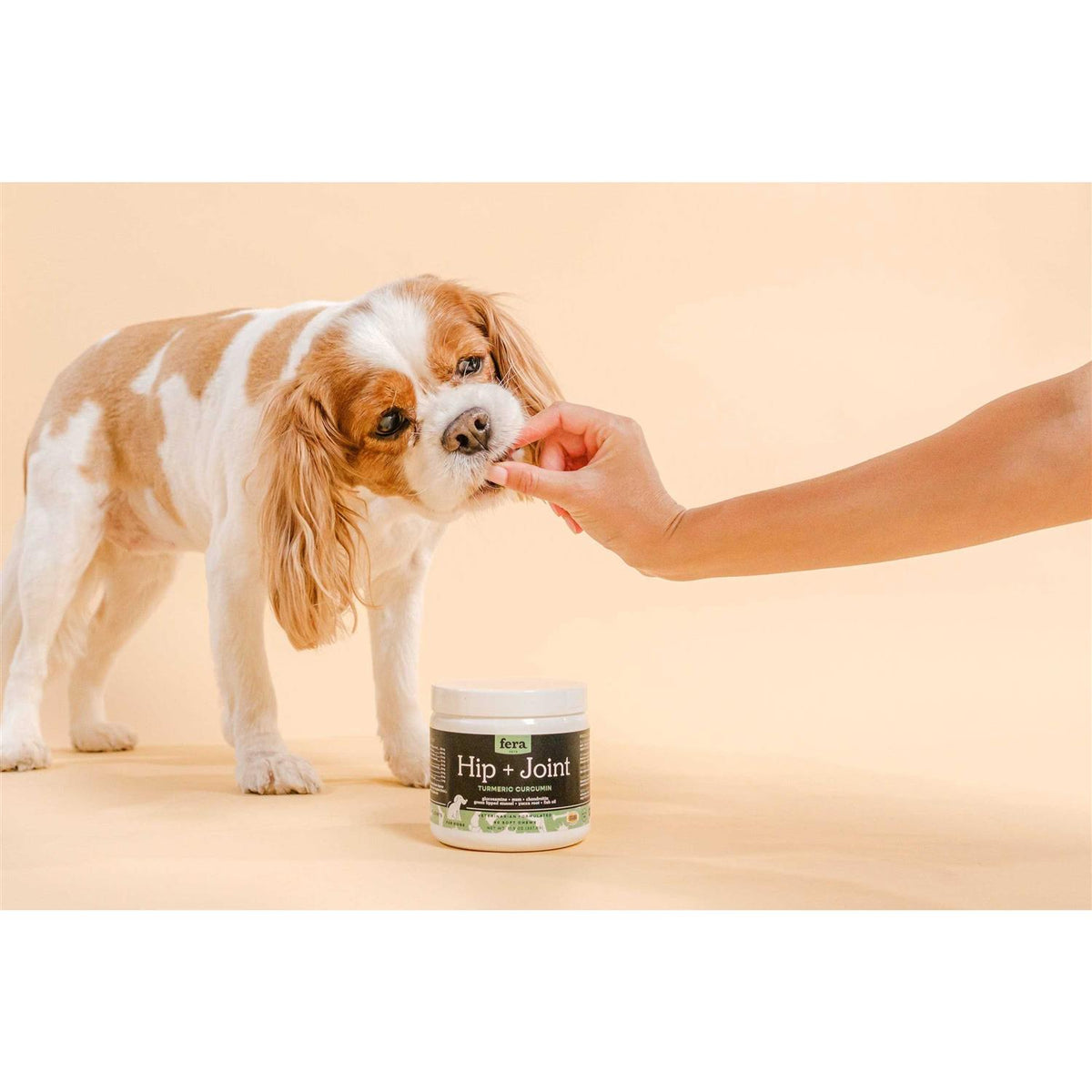 Hip & Joint Soft Chew Dog Supplement B341