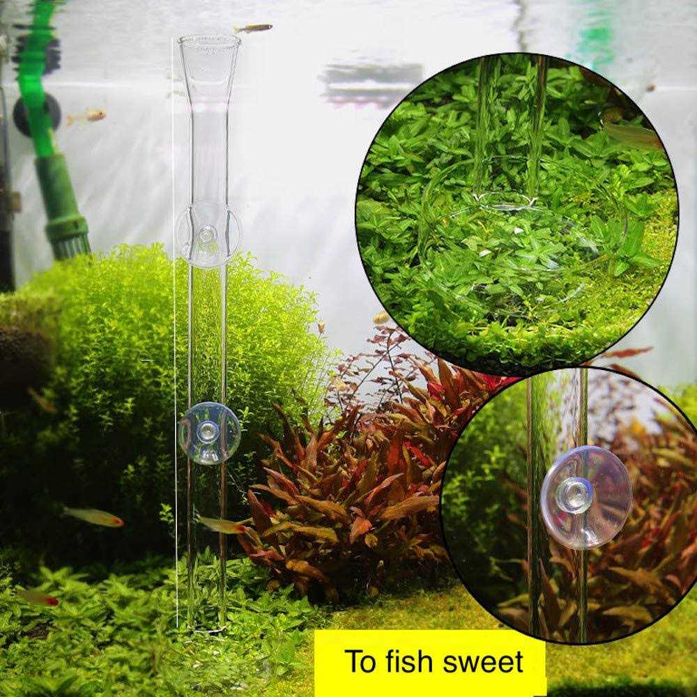 Aquarium Shrimp Feeding Tube and Dish Clear Crystal Glass Feeder Tray F278