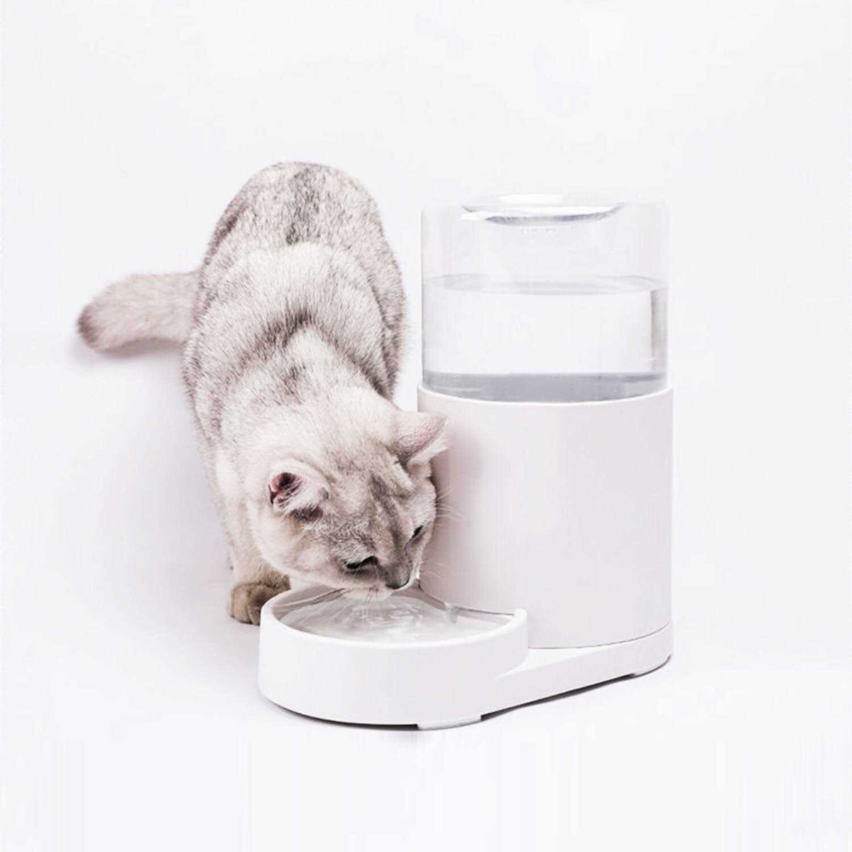 Automatic Pet Water Dispenser 3 Liter Z4128