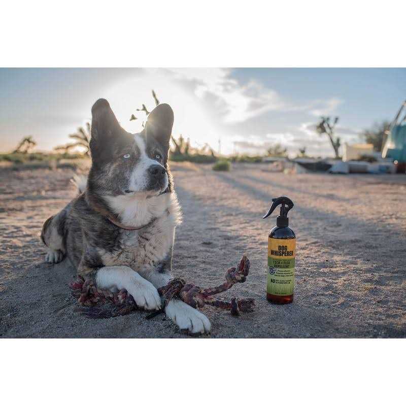 Tick Flea Repellent P47667