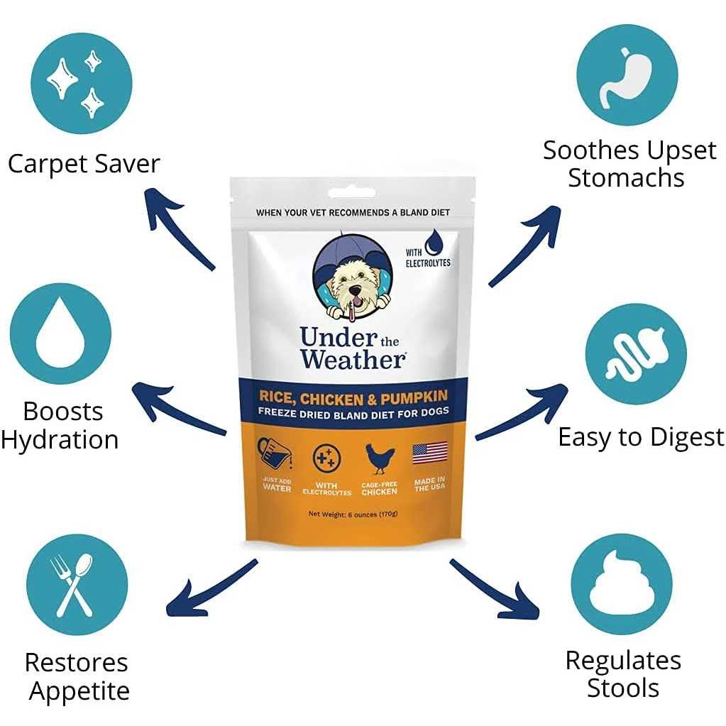Chicken & Rice Bland Diet for Dogs D54121
