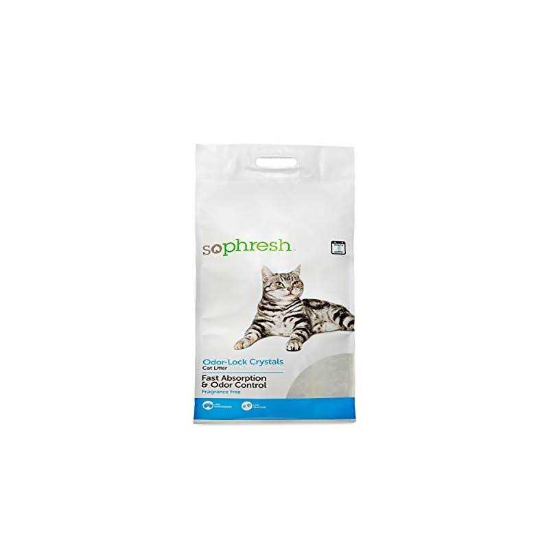 Crystal Cat Litter Y353