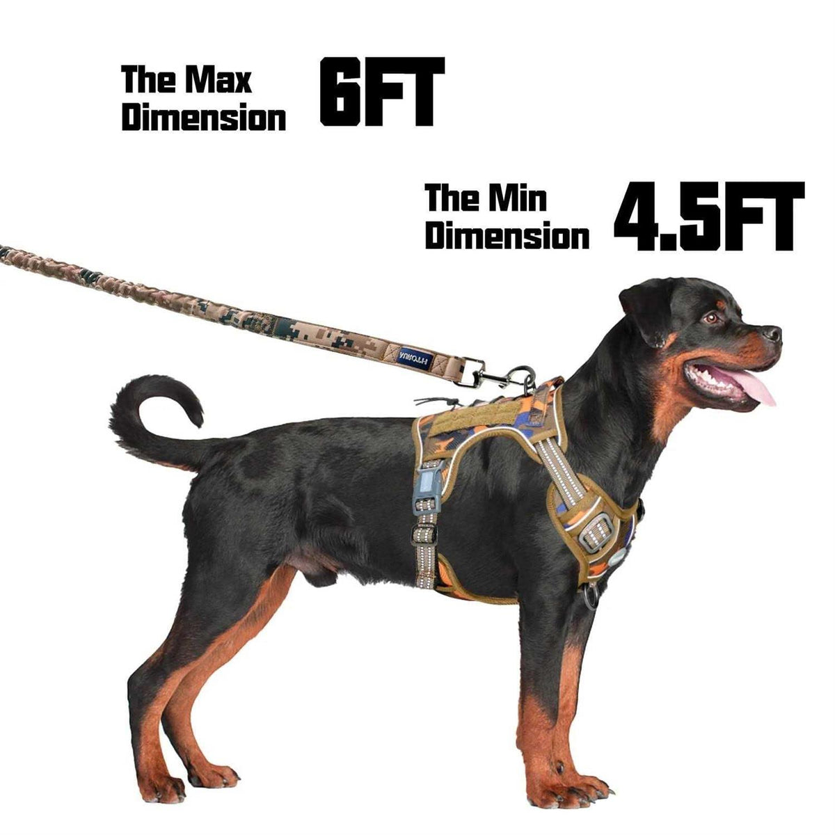 Heavy Duty Bungee Dog Leash L79519