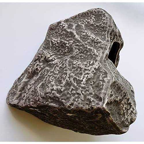 15-Pack Cichlid Stone T829636