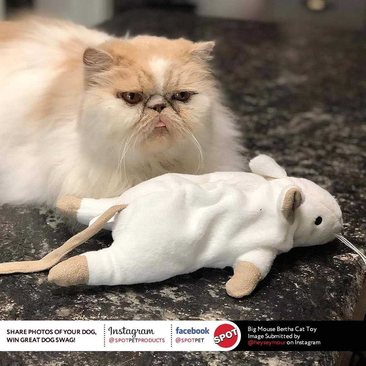 Catnip Cat Toy I197