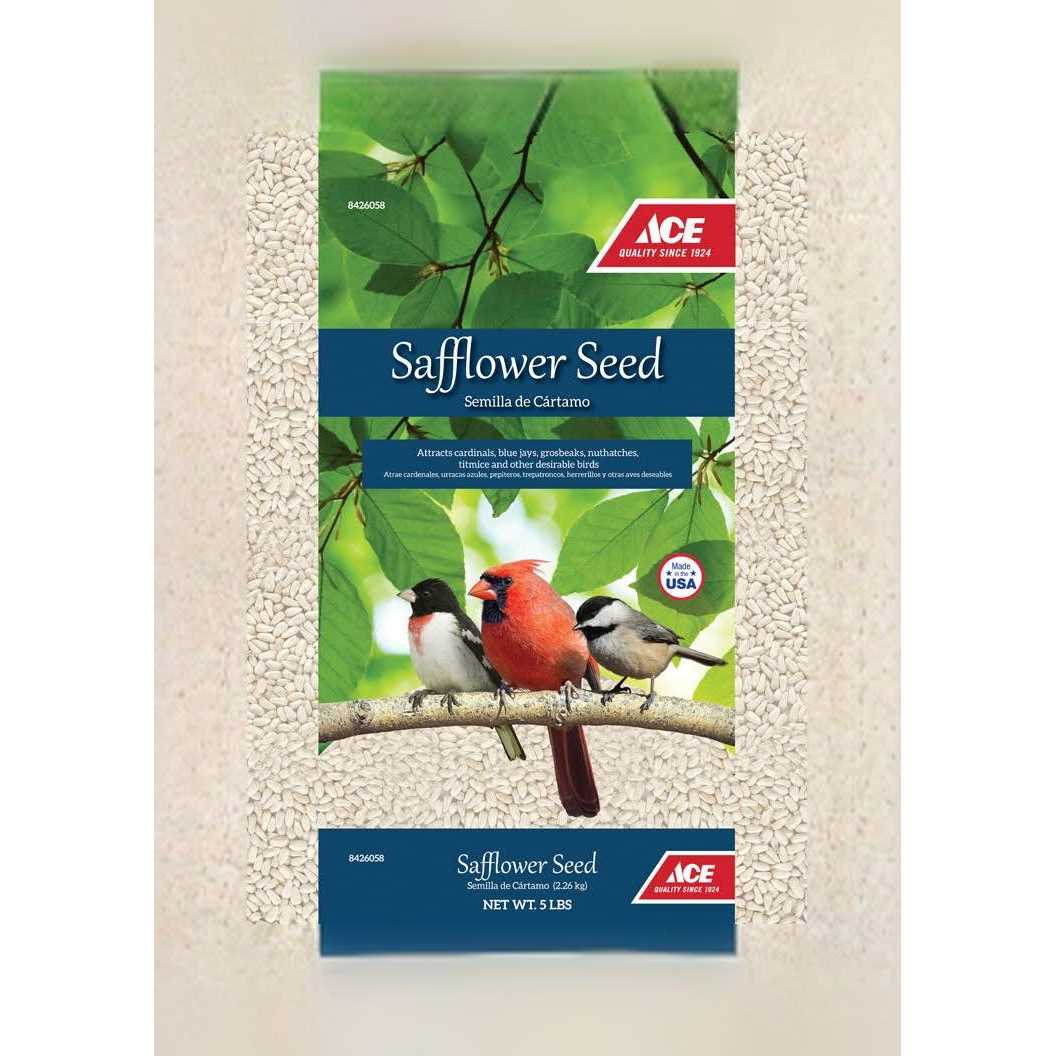 Safflower Y410079