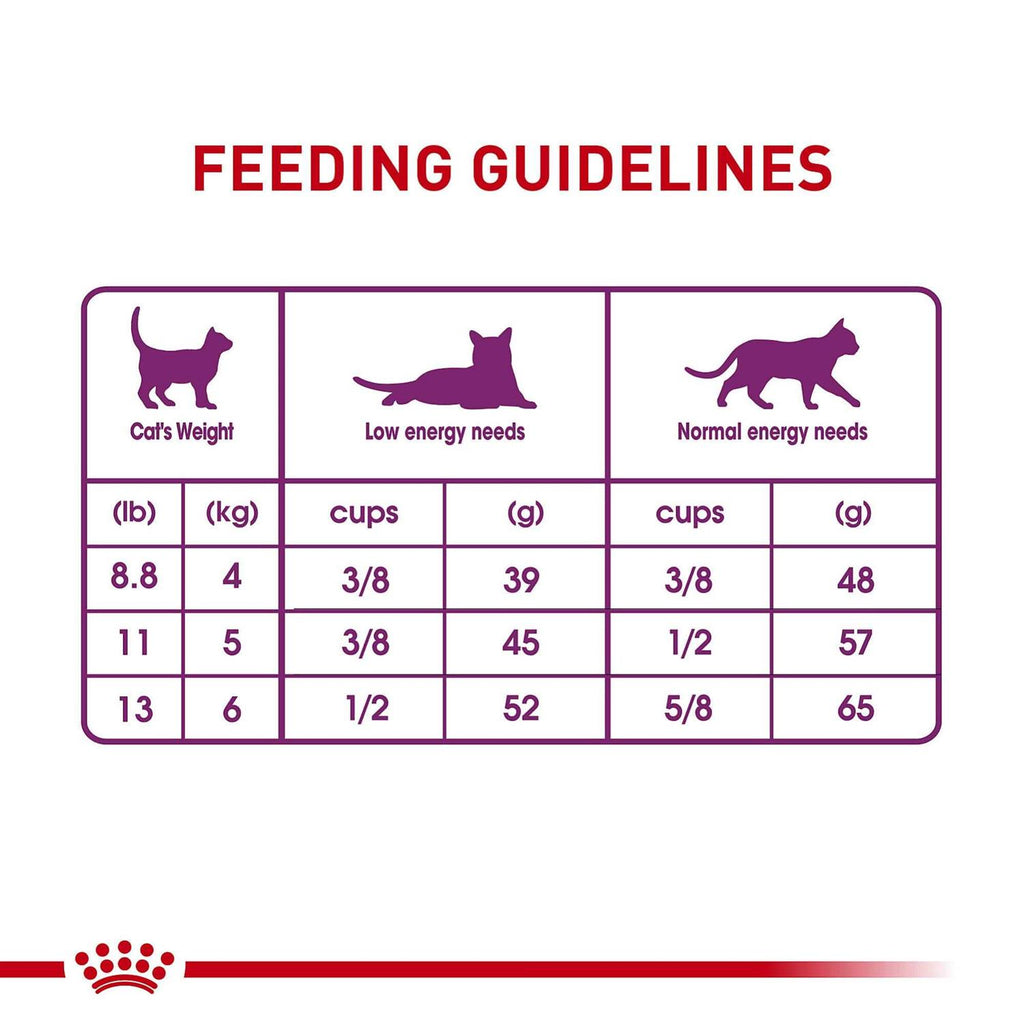 Cat Dry Food T621