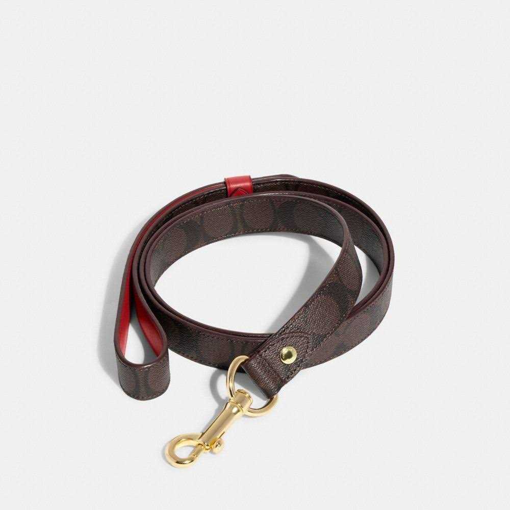 Boxed Pet Leash In Signature Canvas Z95360
