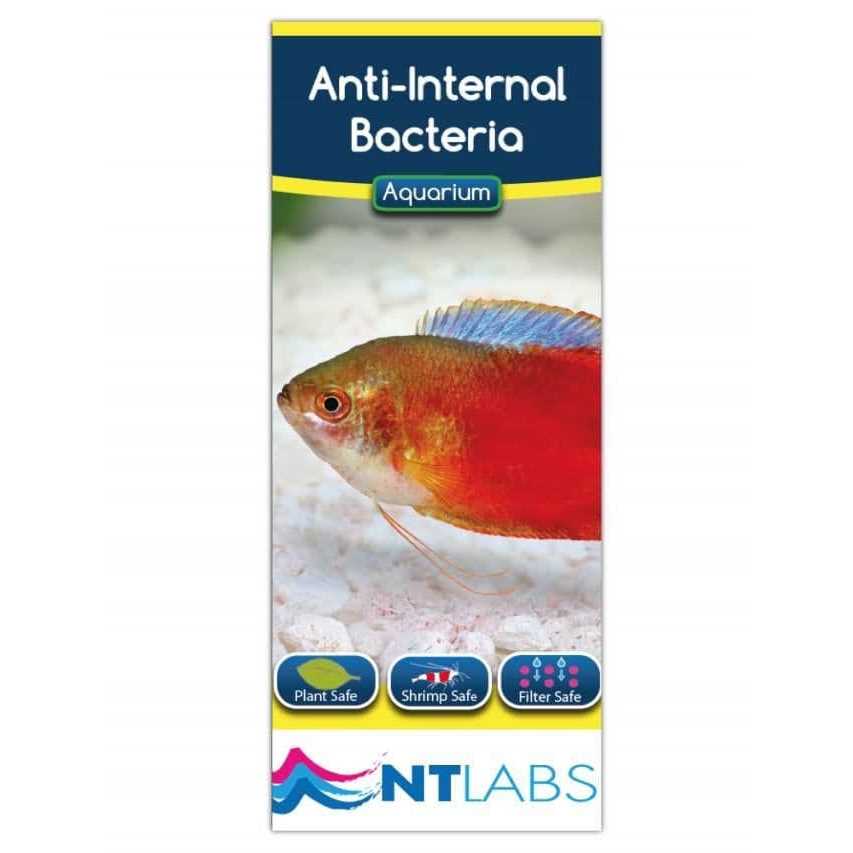Swimbladder Treatment 134 GR Y2288