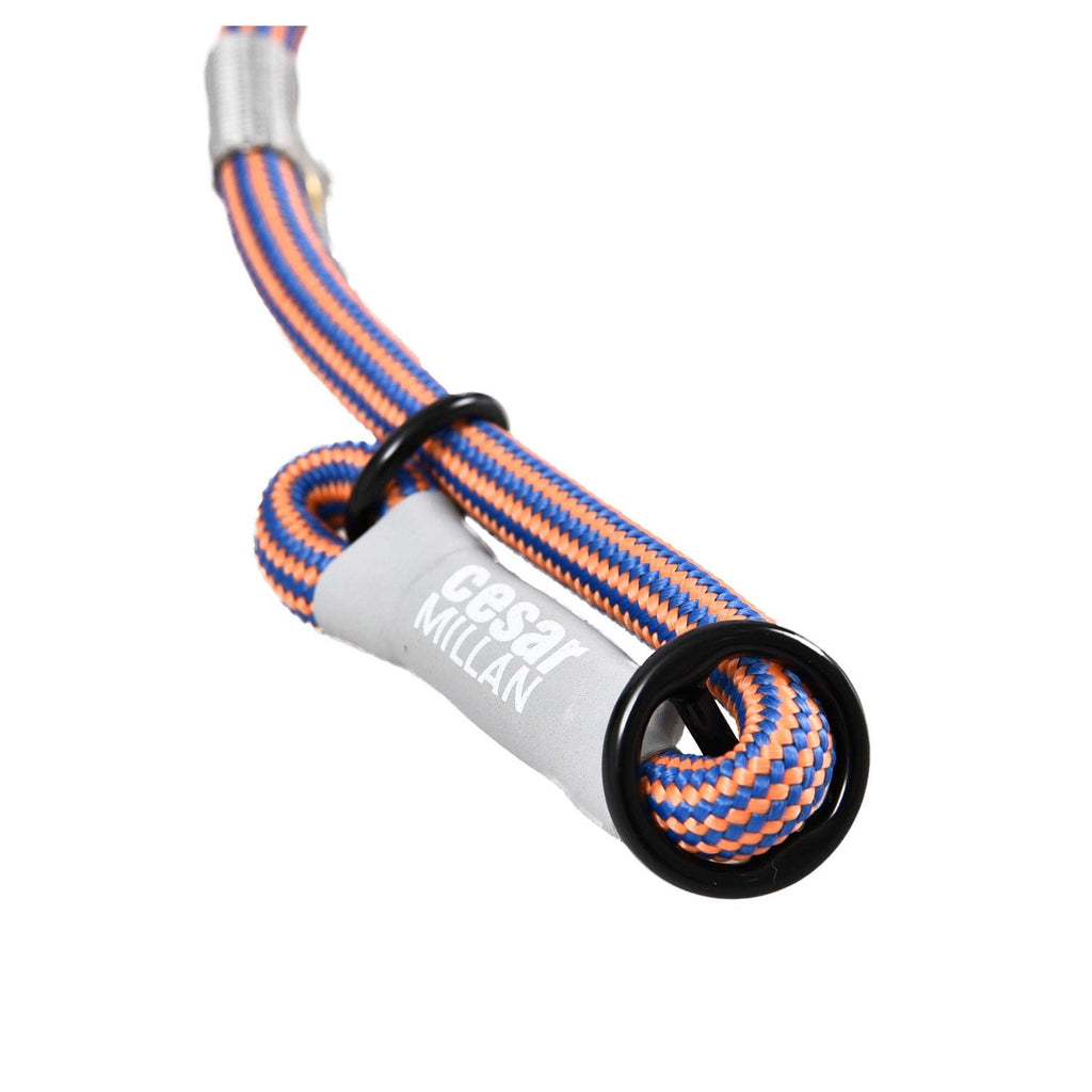 2-in-1 Slip Collar Dog Training Lead & Collar Z995450