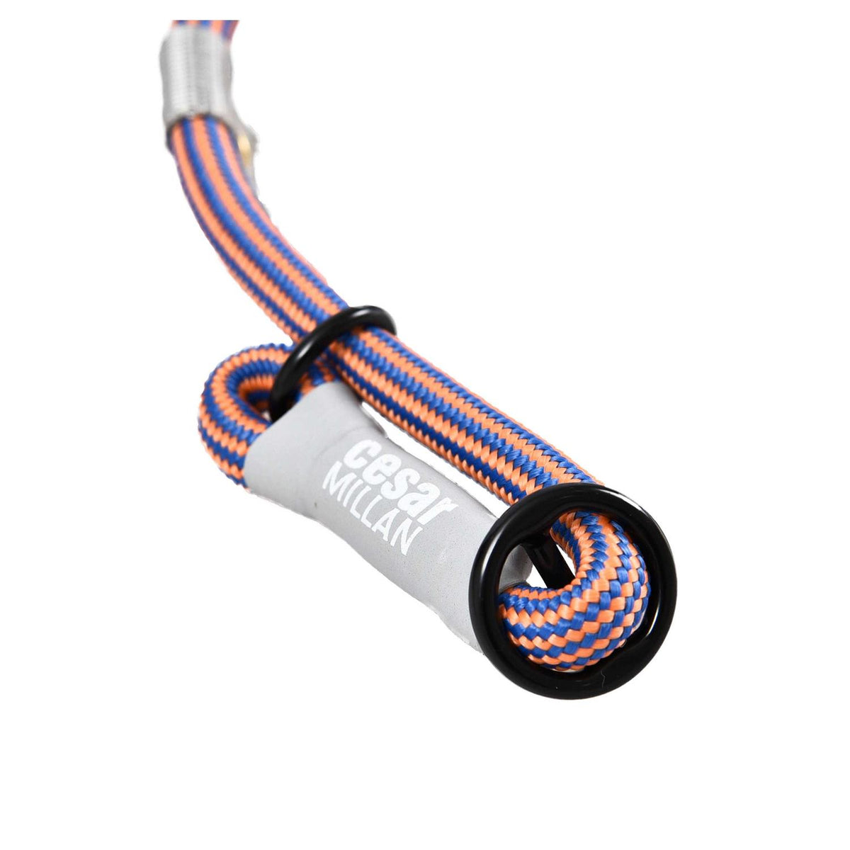 2-in-1 Slip Collar Dog Training Lead & Collar Z995450