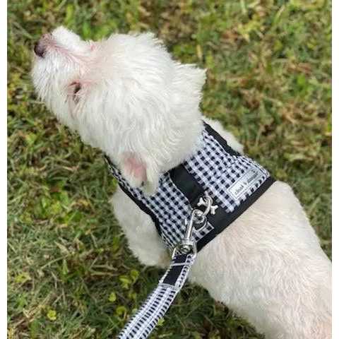 Teacup Gingham Dog Harness Vest G899621
