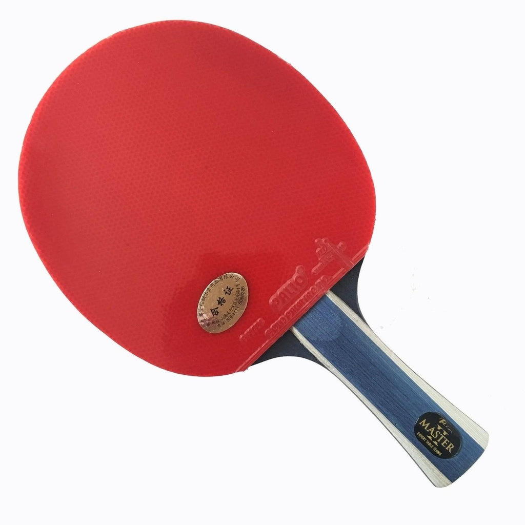 Table Tennis Racket & Case G95315